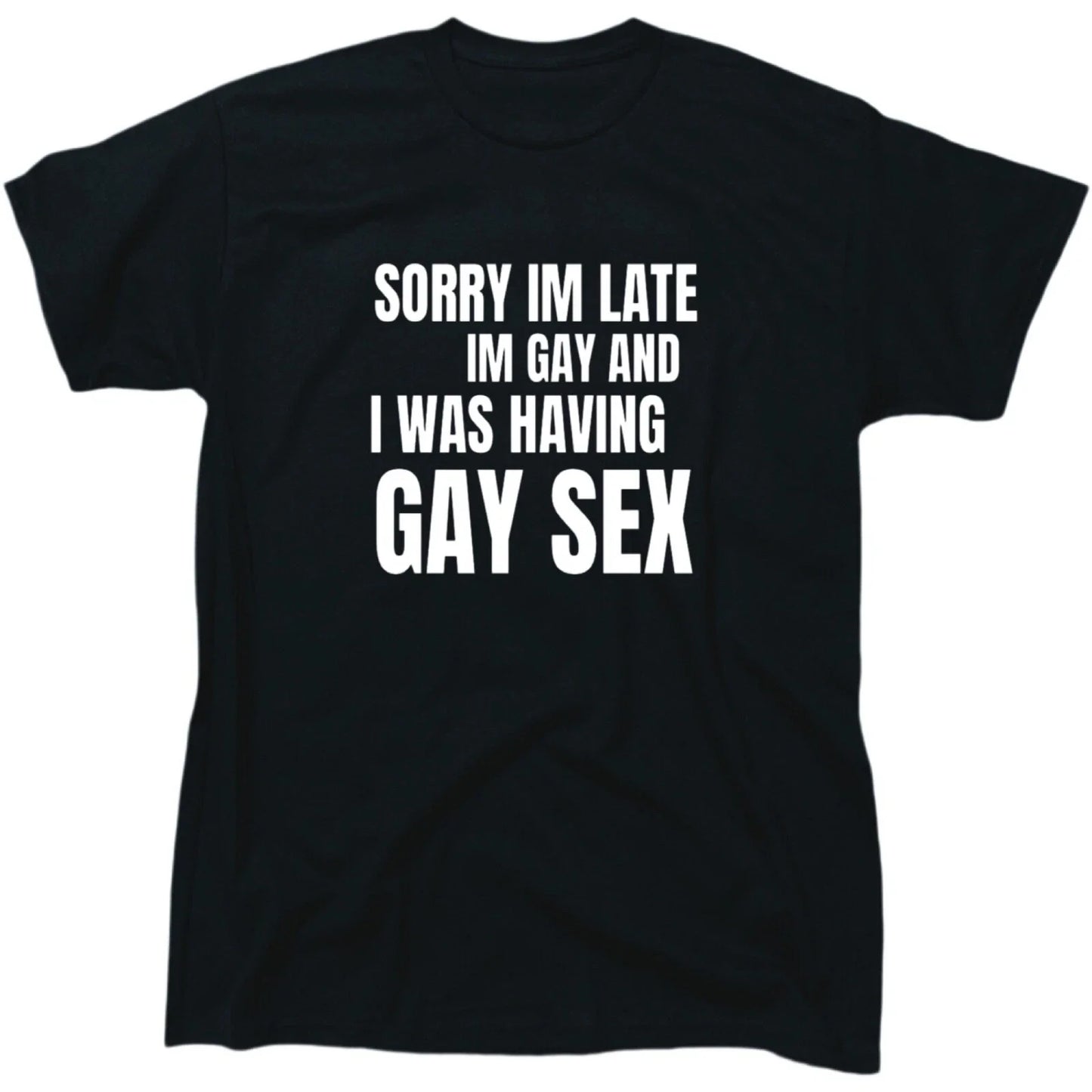 Sorry I'm Late I'm Gay And I Was Having Gay Sex Mens Pride T-Shirt - Gift