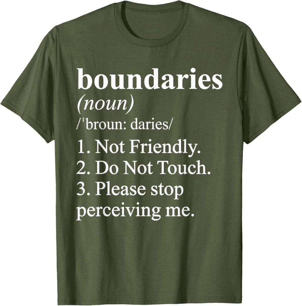 Not Friendly Definition Funny Ironic Meme T-Shirt