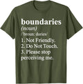 Not Friendly Definition Funny Ironic Meme T-Shirt
