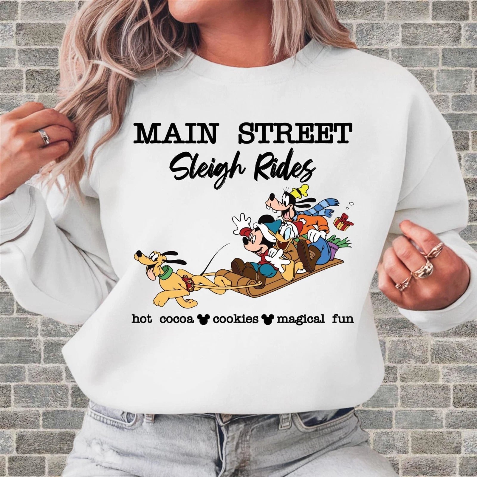 Main Street Sleigh Rides Unisex Hoodie Tshirt Men Women Unisex N319