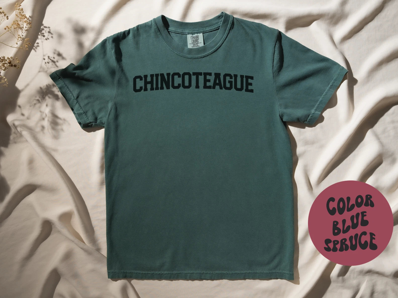 Chincoteague VA Virginia Moving Away Shirt Gifts T-Shirt Short Sleeve Tee Unisex