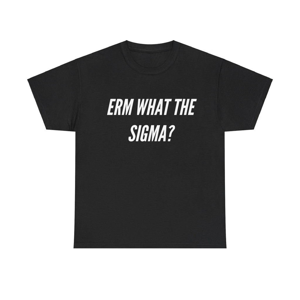 Erm What The Sigma? Funny Meme T-shirt