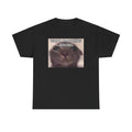 What Wrong Cat Unisex Male or Female Cotton Tee Funny Shirt, Parody, Gift, Meme