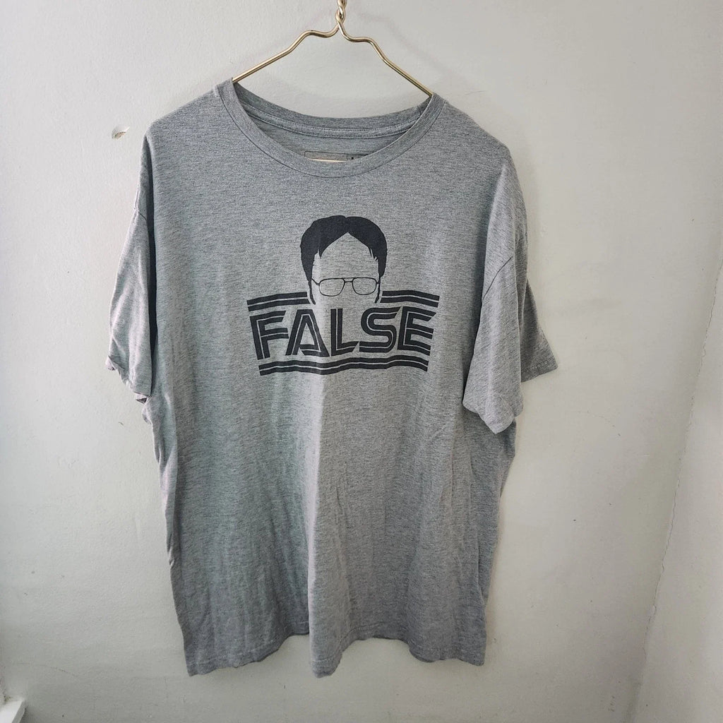 The Office Dwight Schrute False Graphic T-Shirt Mens 2XL Gray l