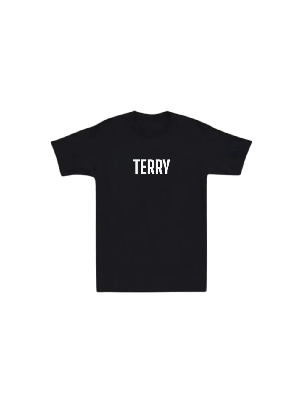 Terry Mens T-shirt Name Funny Laugh Joke Humor Tee Friend Dad Novelty Gift Tee