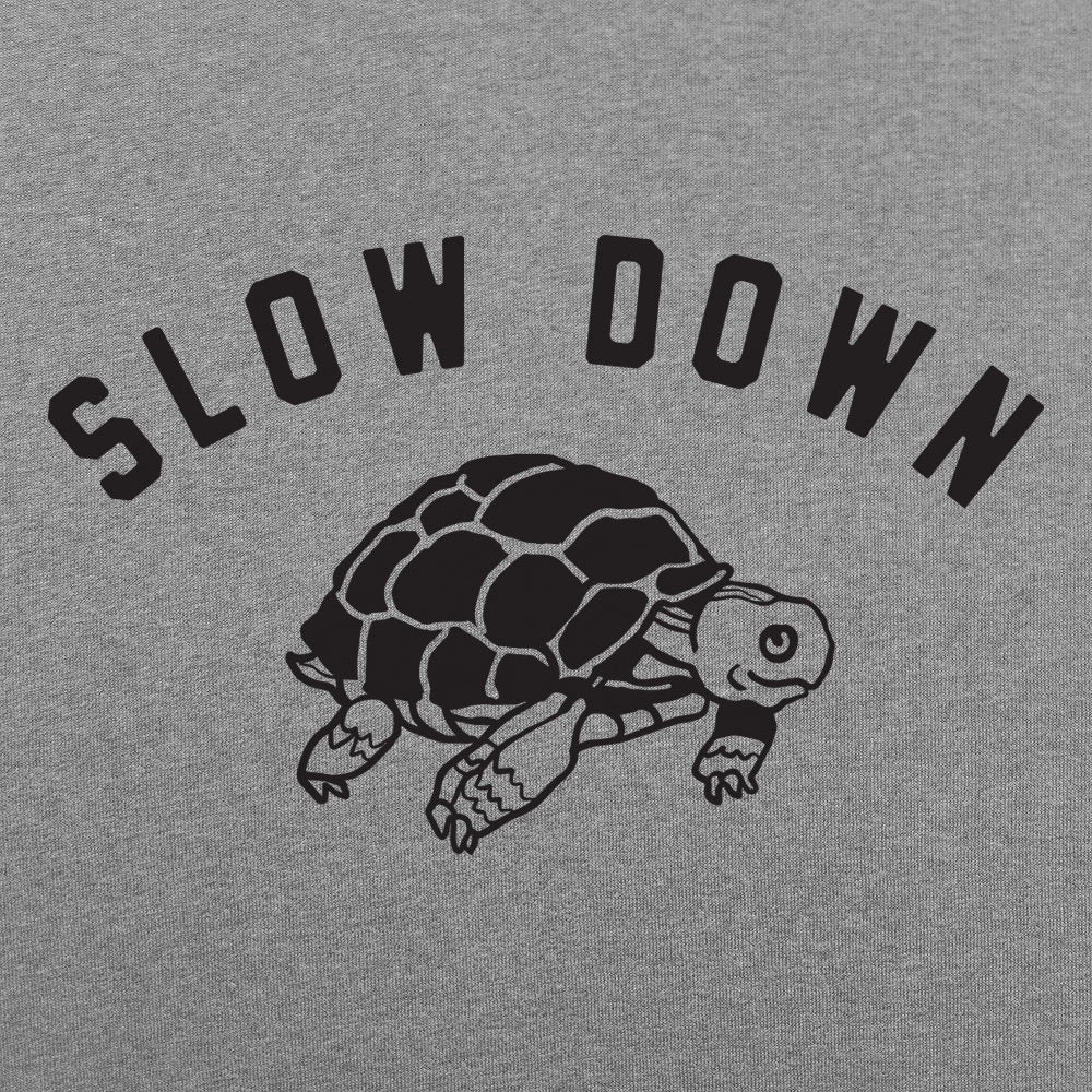 Slow Down Turtle