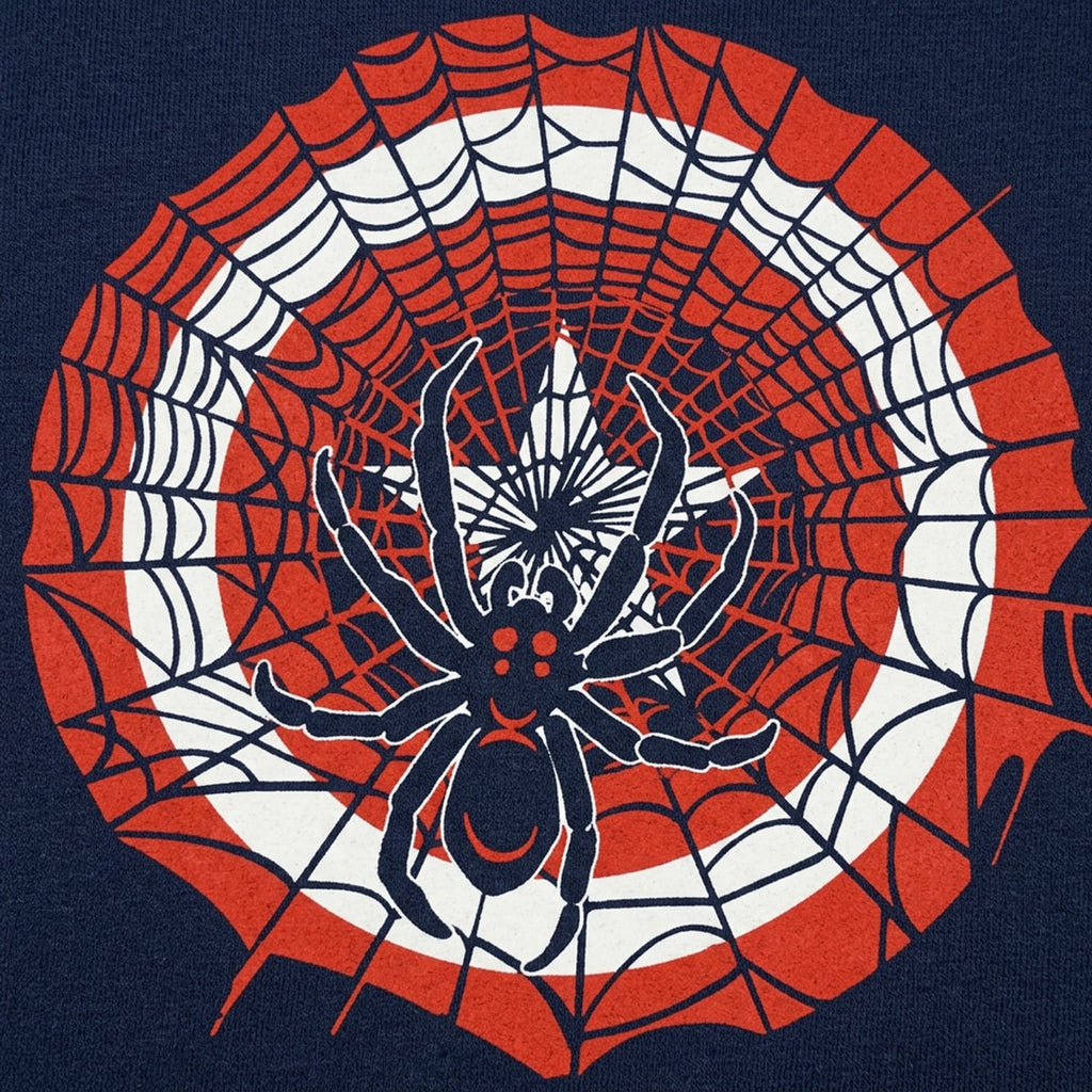 Spider And Star Comic Book Superhero Mashup