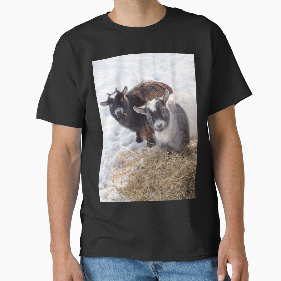 Goat farm - Funny goat - pygmy goat by animal-animal
