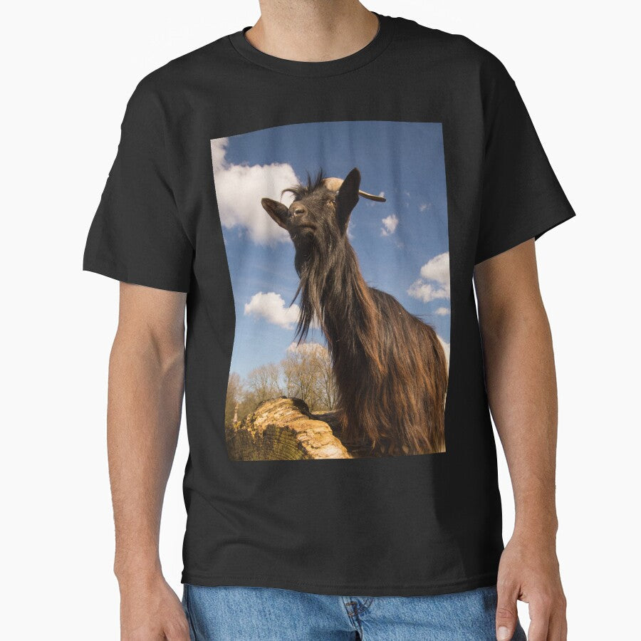 Goat farm - Funny goat - black goat by animal-animal