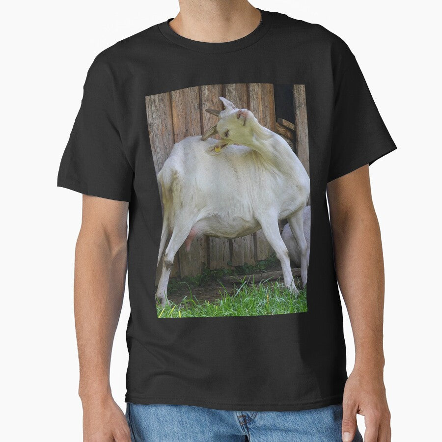 Farm goat - Goat farmer by animal-animal