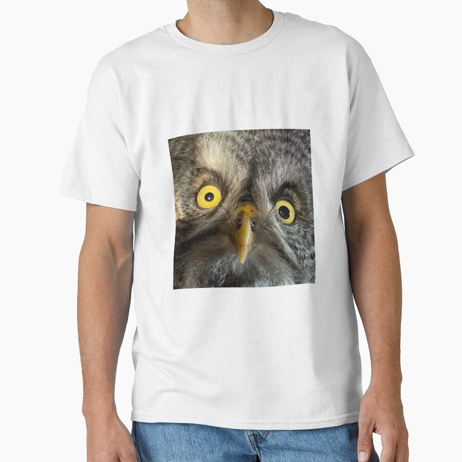 Owls by Ashley’sAnimalz