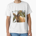 Goat, yoga wear by Ericyaw