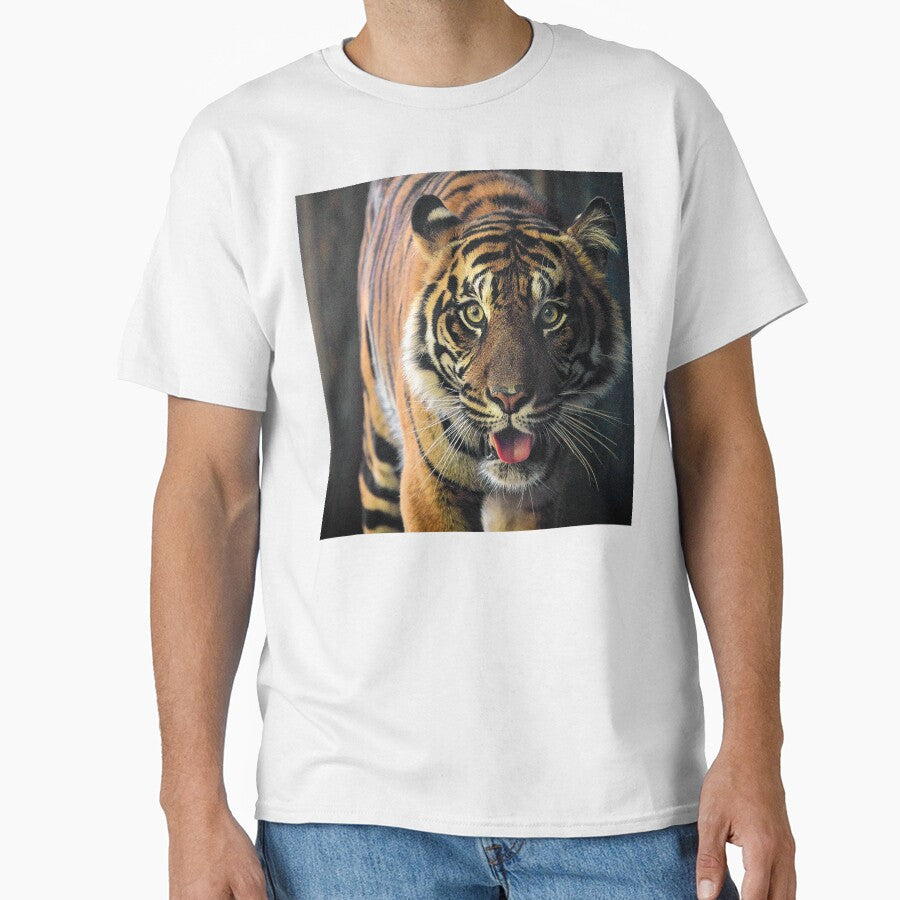 Breathtaking Tiger Face Luxurious Photo Art by DEC02