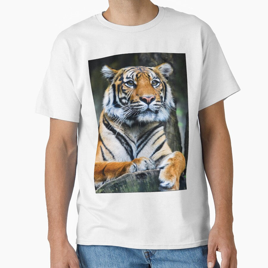 tiger in the forest by MMSHOP7