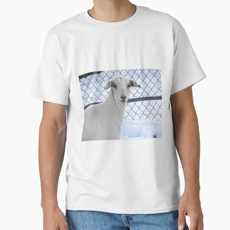 white goat in the snow by Stephanie  Skeem