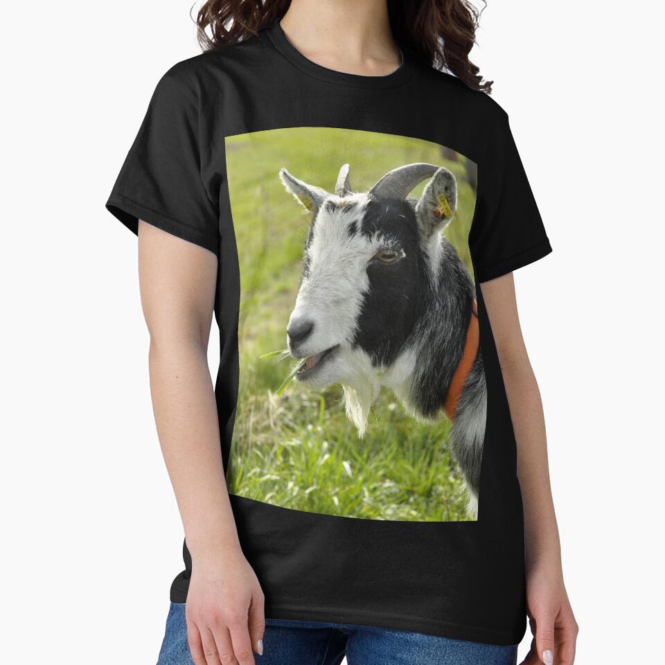 Pygmy goat - mountain goat by animal-animal