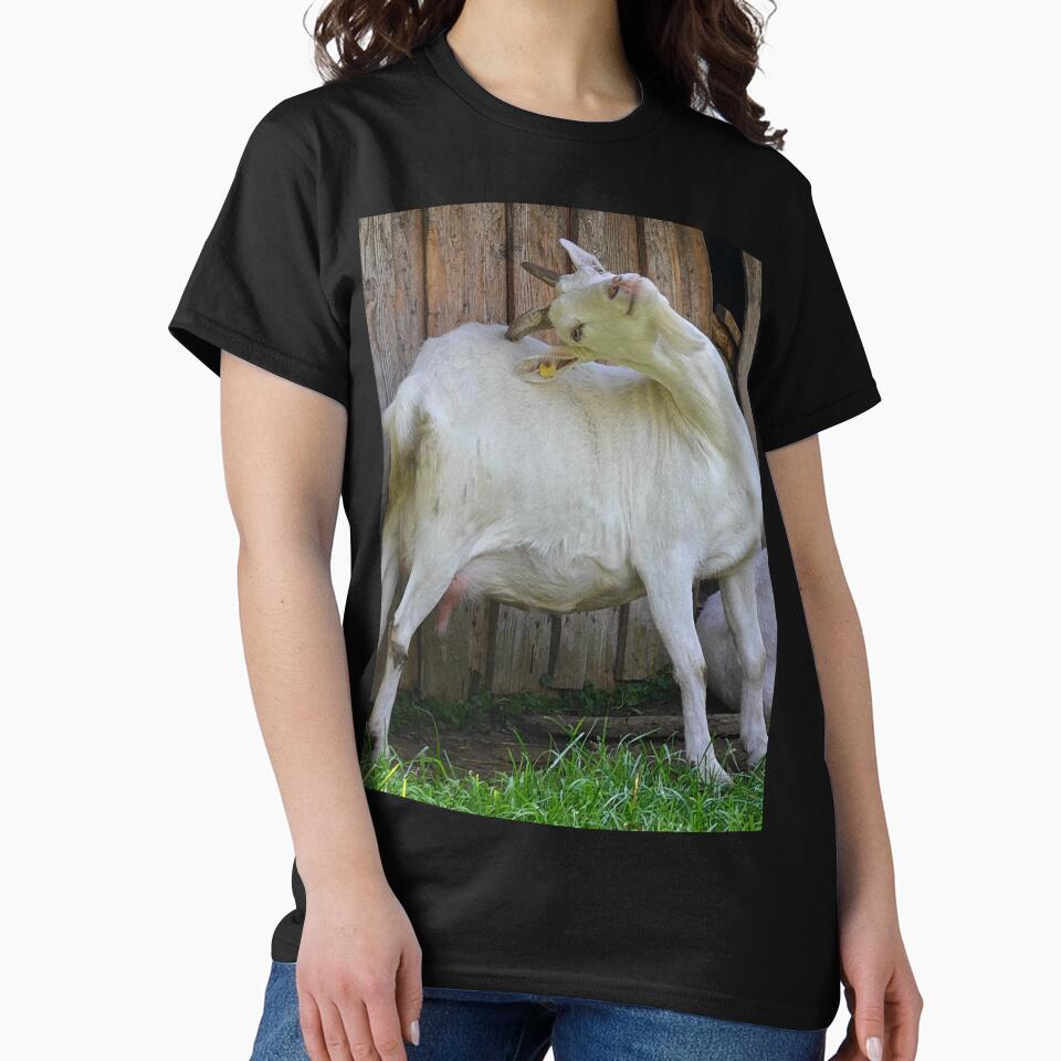Farm goat - Goat farmer by animal-animal