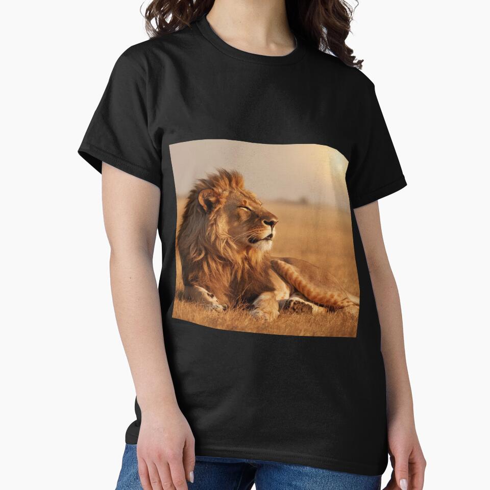 The Lion and the Sun by Collection de trésors