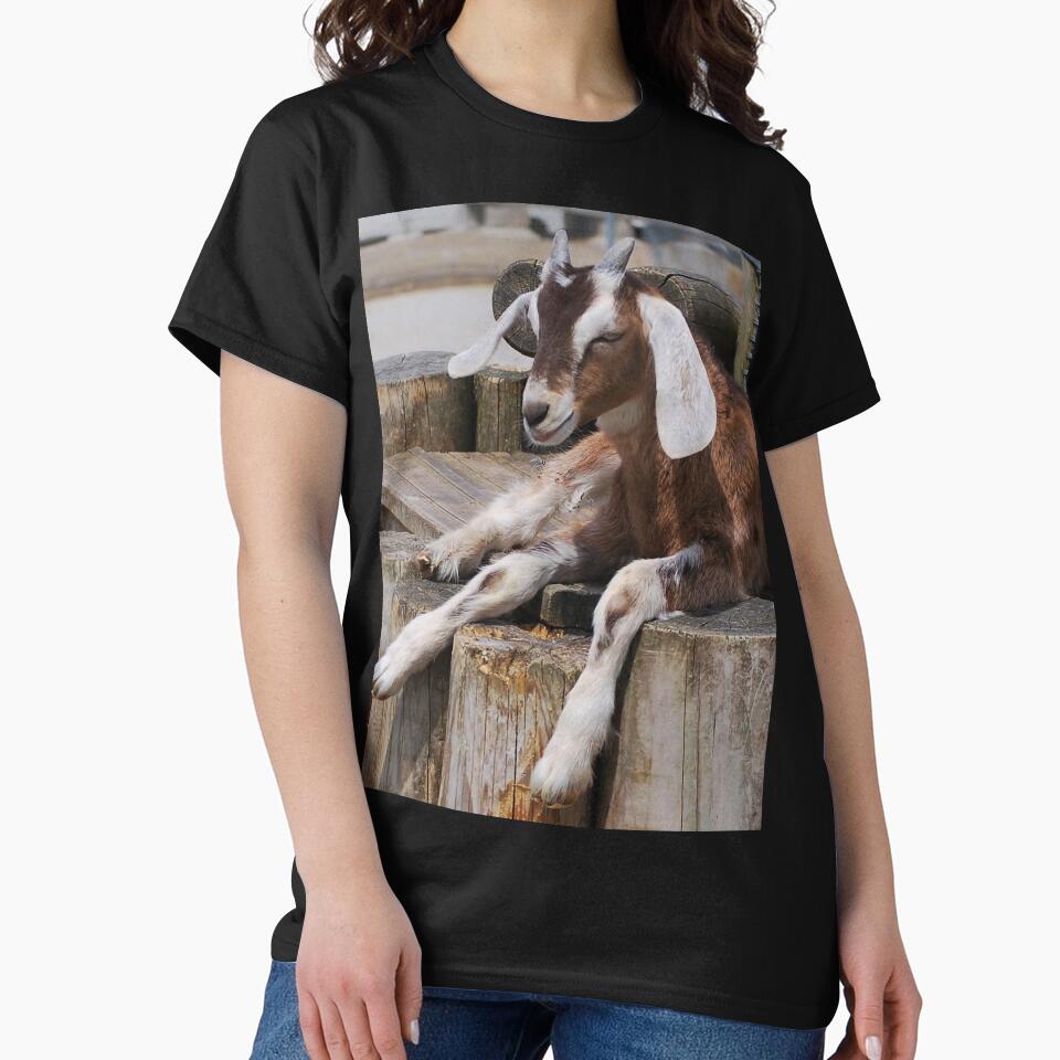 Goat farm - cute goat by animal-animal