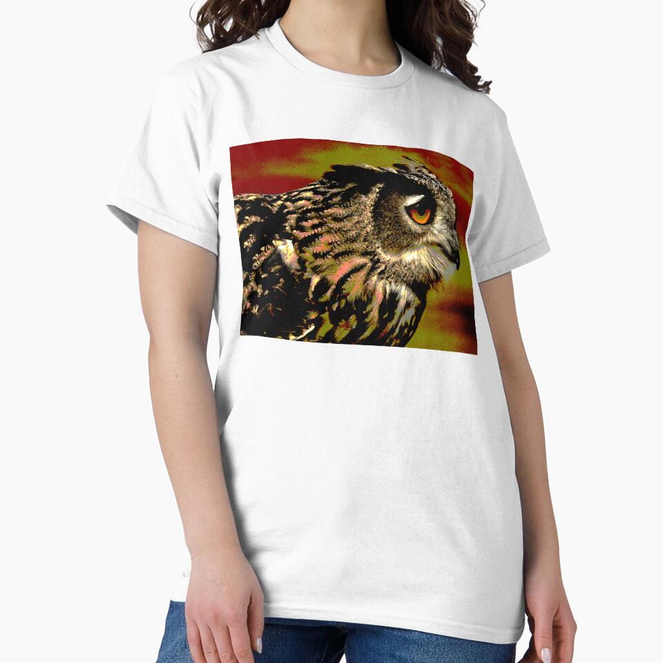 Owl #9 by KingdomWildlife