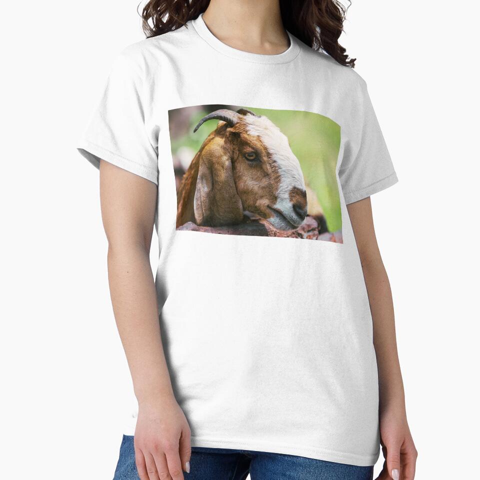 Anglo Nubian Goat by TheAnimalZ00