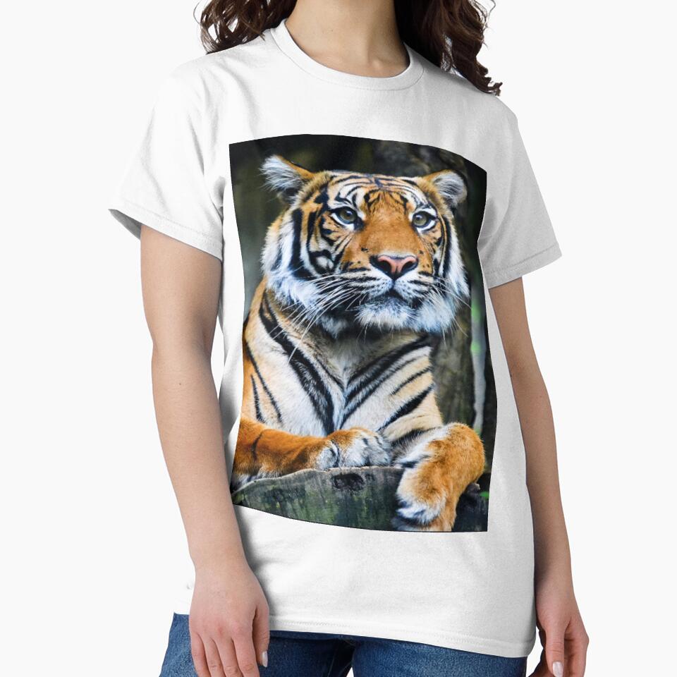 tiger in the forest by MMSHOP7