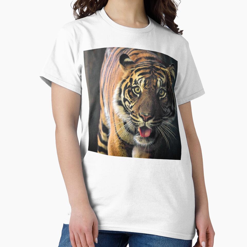 Breathtaking Tiger Face Luxurious Photo Art by DEC02