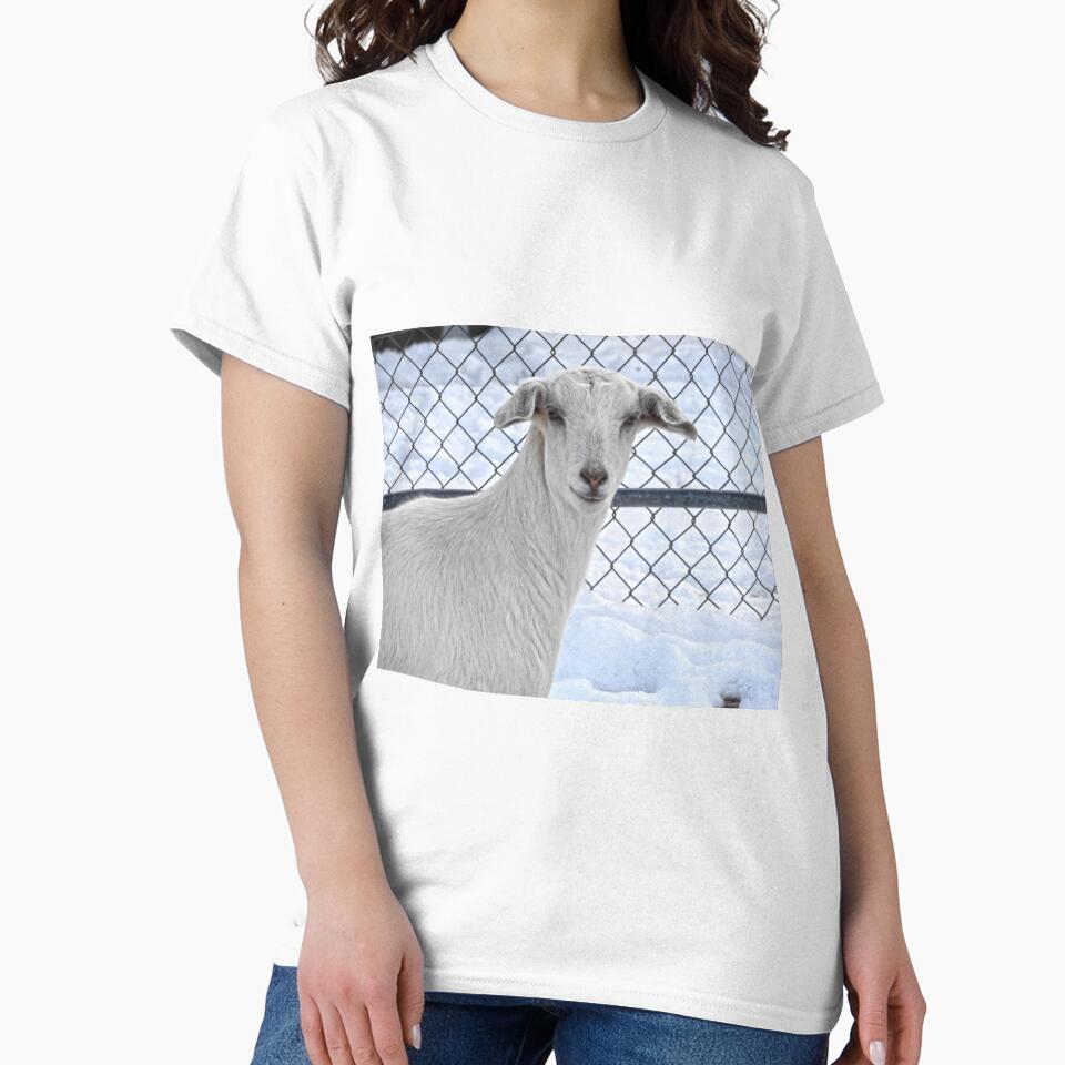 white goat in the snow by Stephanie  Skeem