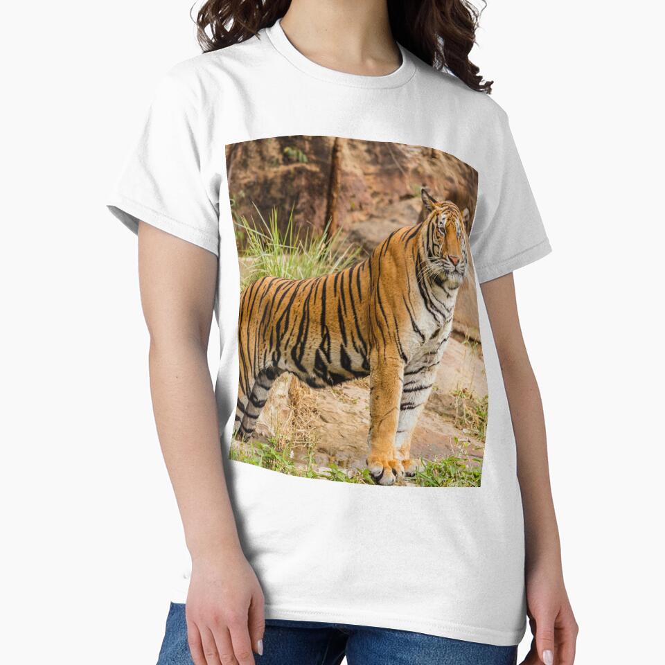 Fierce Tiger by newburyboutique