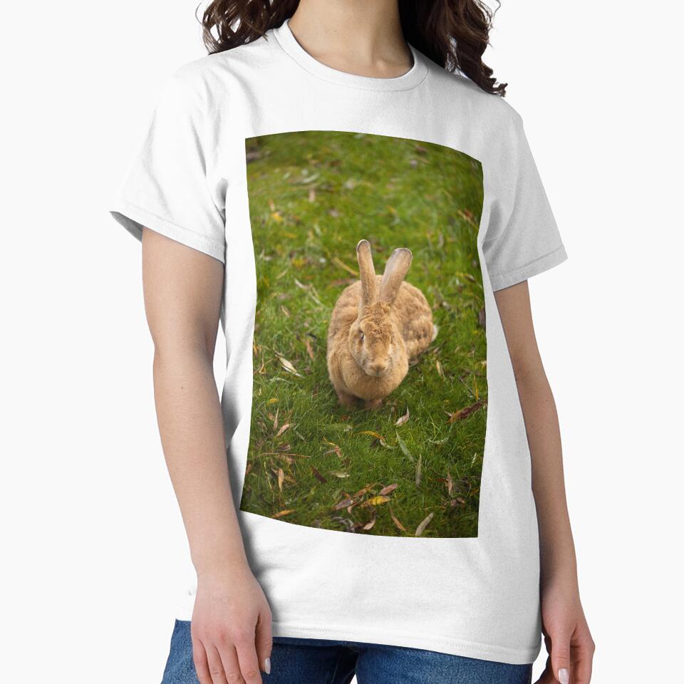Large Rabbit by LizzieMaher