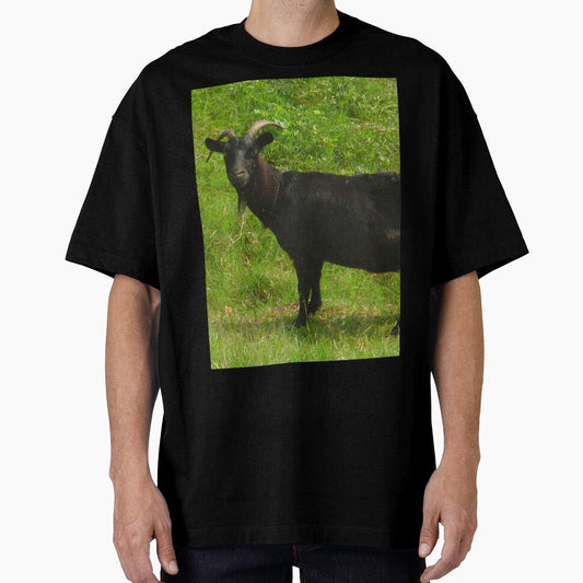 Black goat - pygmy goat - funny goat by animal-animal