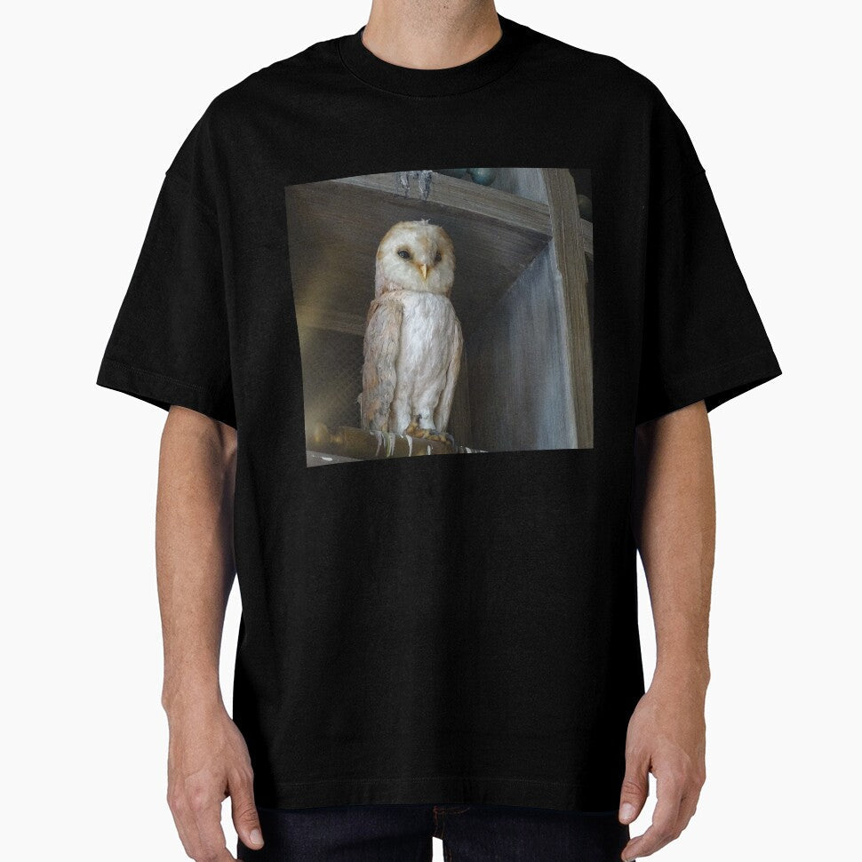 Owl, Owl mask, Owl mugs, by PicsByMi
