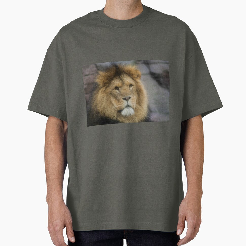 Male Lion Portrait by KcsArt87