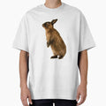 Rabbit standing on hind legs by yeamanphoto