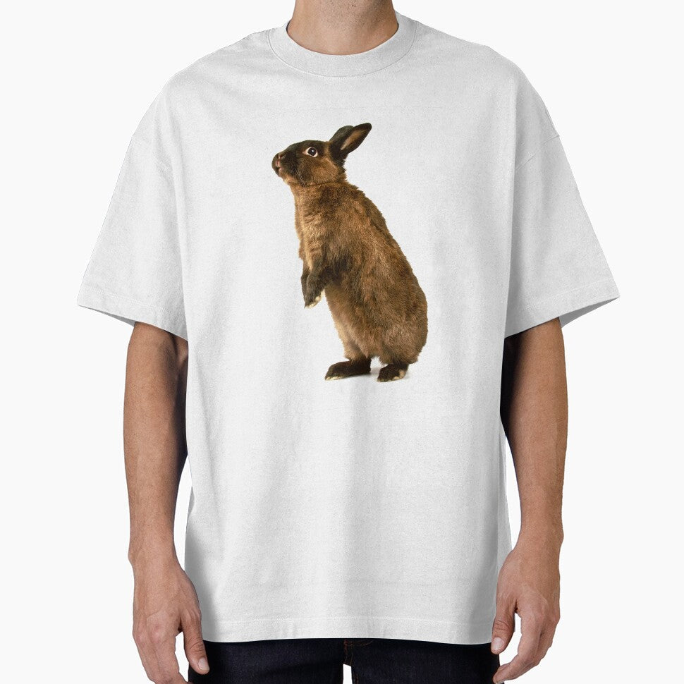 Rabbit standing on hind legs by yeamanphoto
