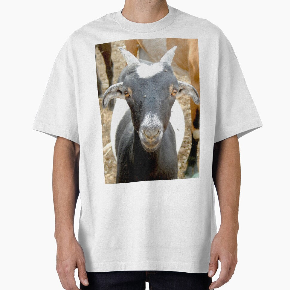 cute black goat face by Stephanie  Skeem