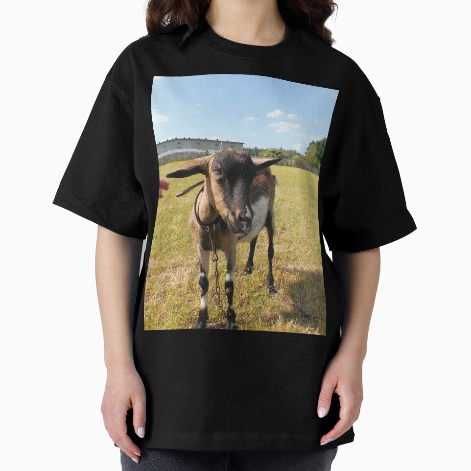 Goat farm by animal-animal
