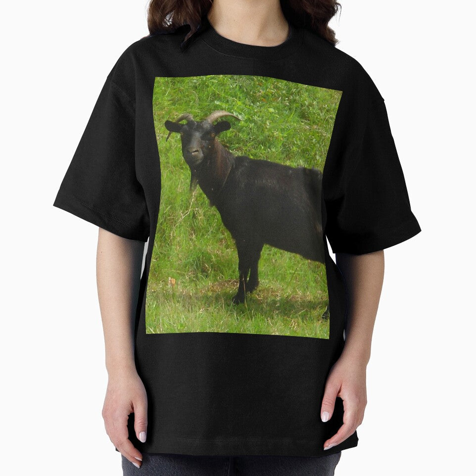 Black goat - pygmy goat - funny goat by animal-animal
