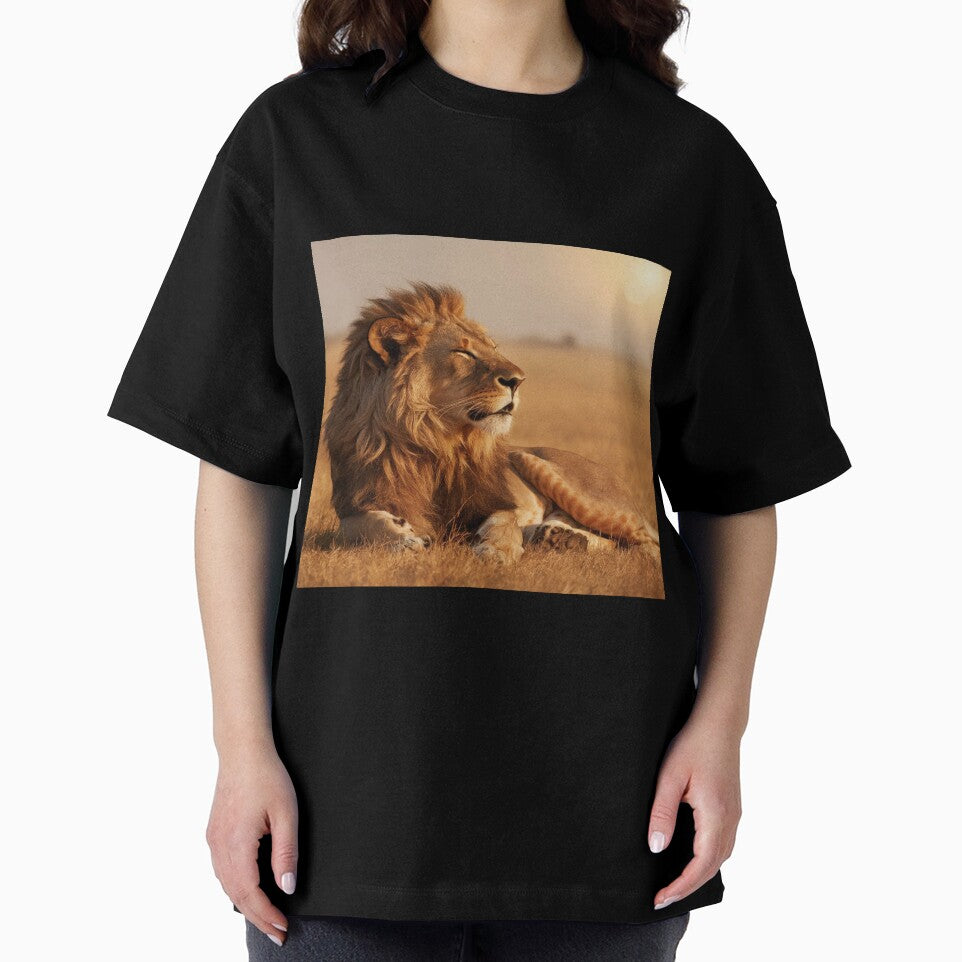 Le Lion et le Soleil by Collection de trésors
