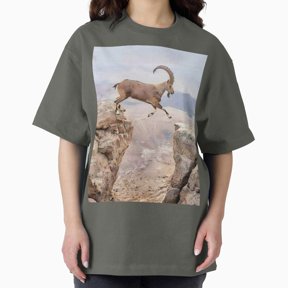 Ibex Goat jumping Rocks by MorningFive