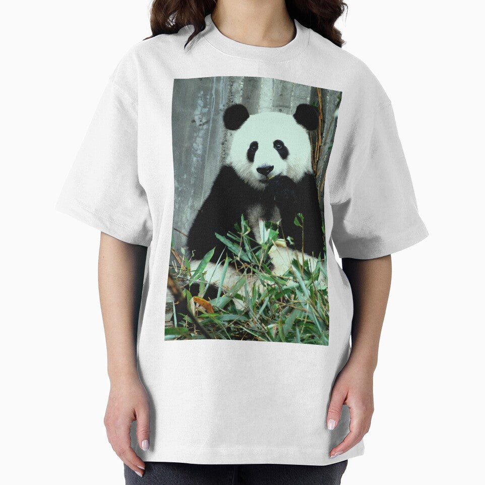 eating panda by ahmadshalqeh