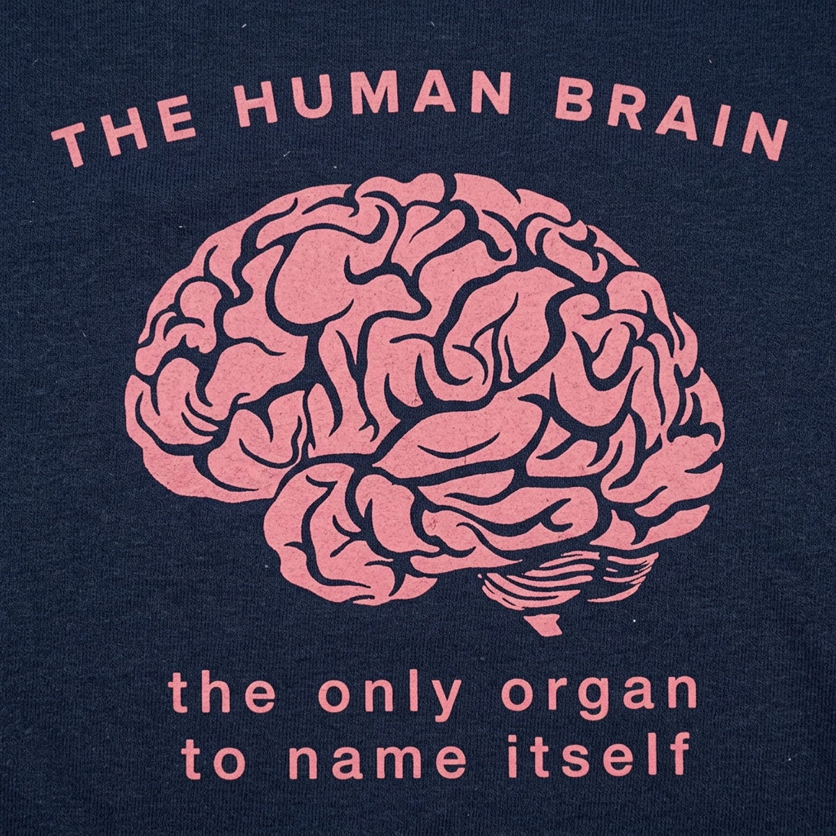 The Human Brain, the Only Organ to Name Itself