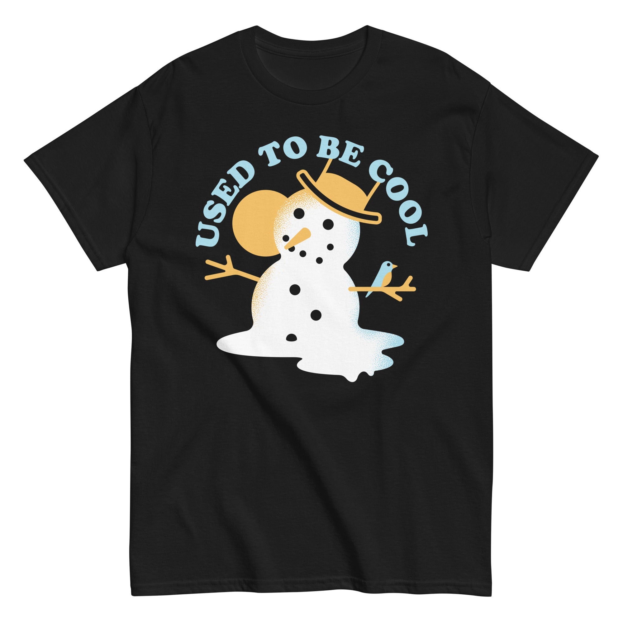 Used To Be Cool Men's Classic Tee
