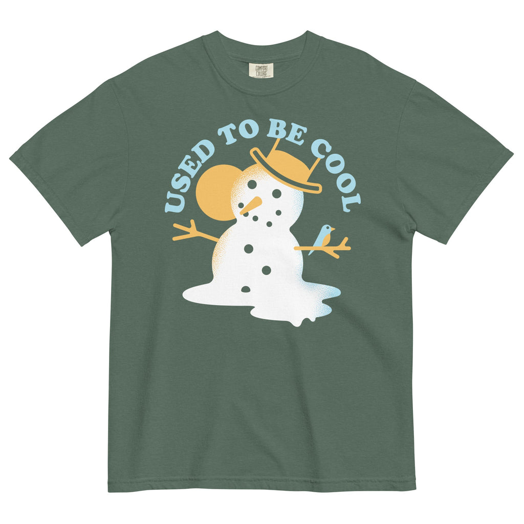 Used To Be Cool Men's Relaxed Fit Tee