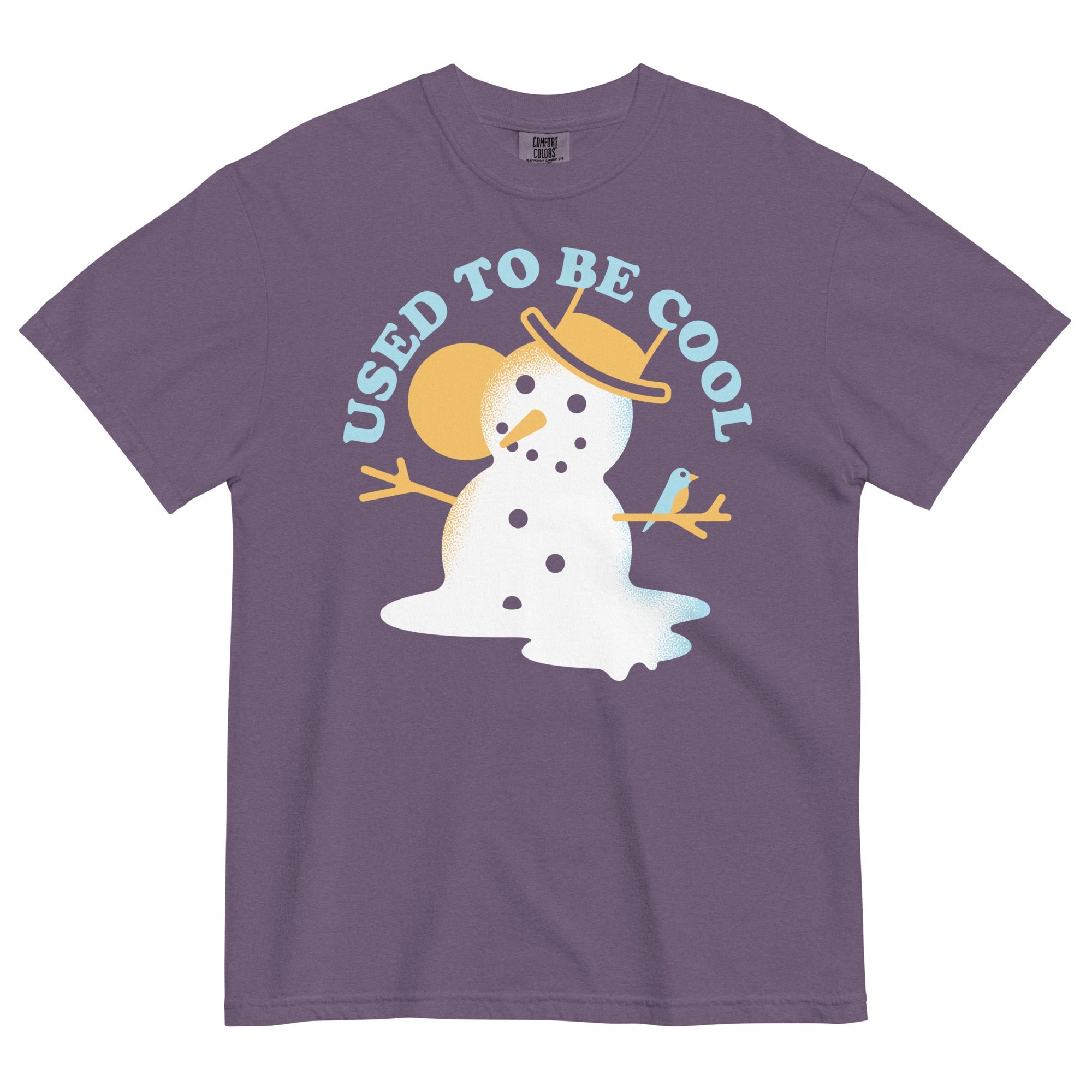 Used To Be Cool Men's Relaxed Fit Tee