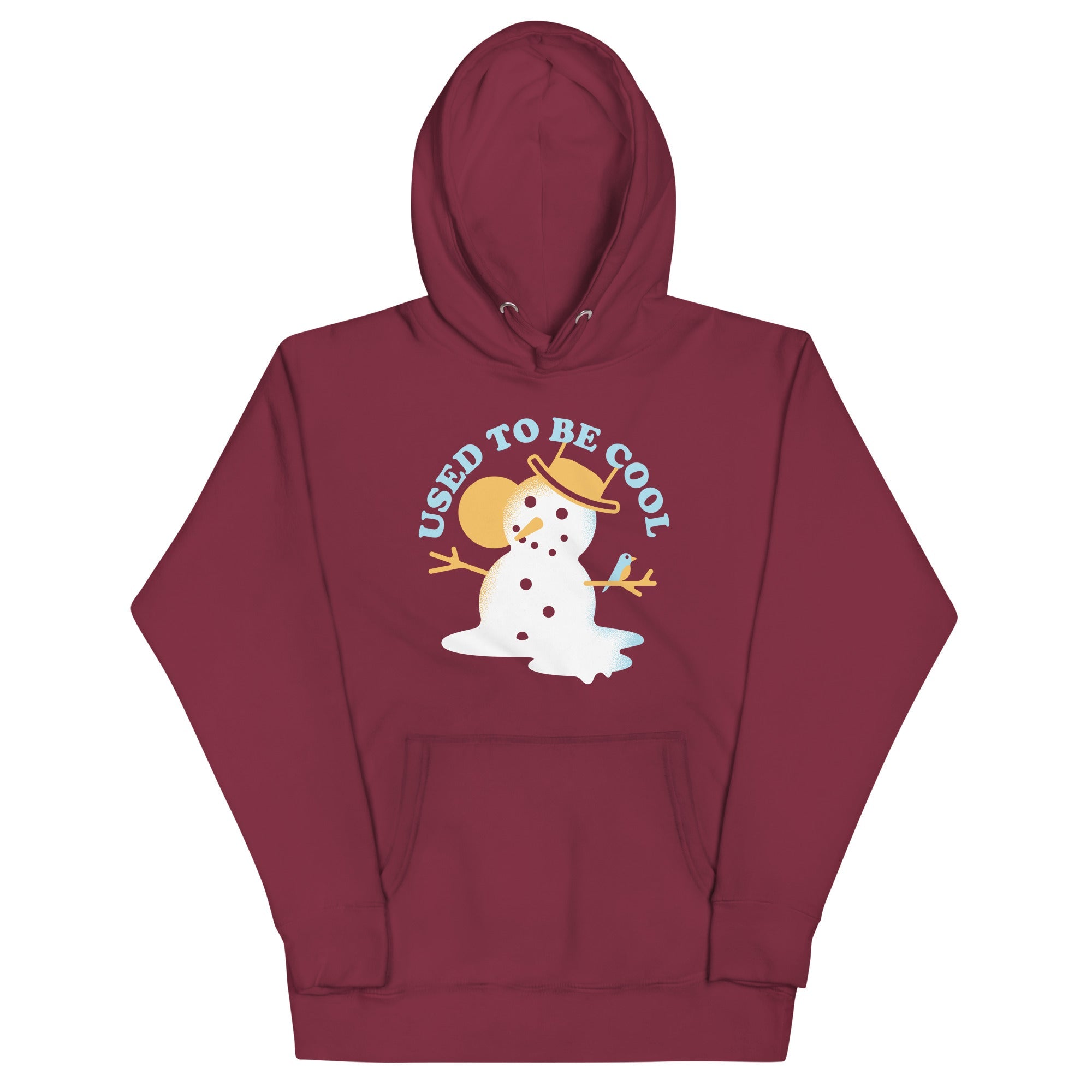 Used To Be Cool Unisex Hoodie