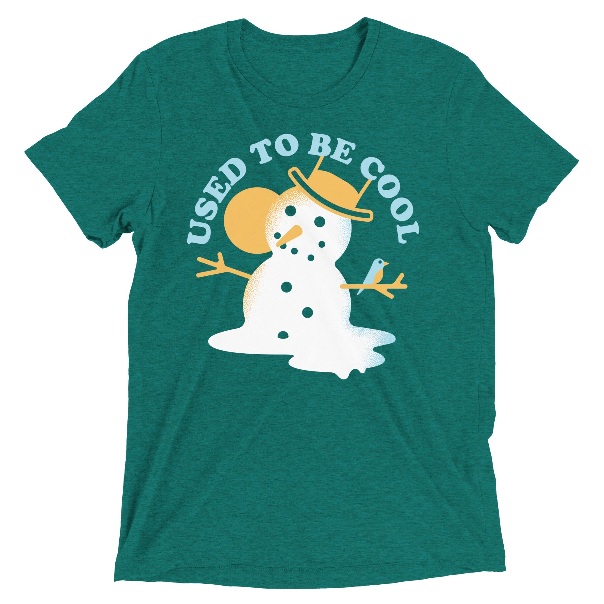 Used To Be Cool Men's Tri-Blend Tee