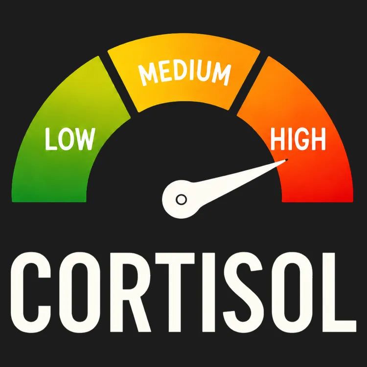 Cortisol Level: HIGH