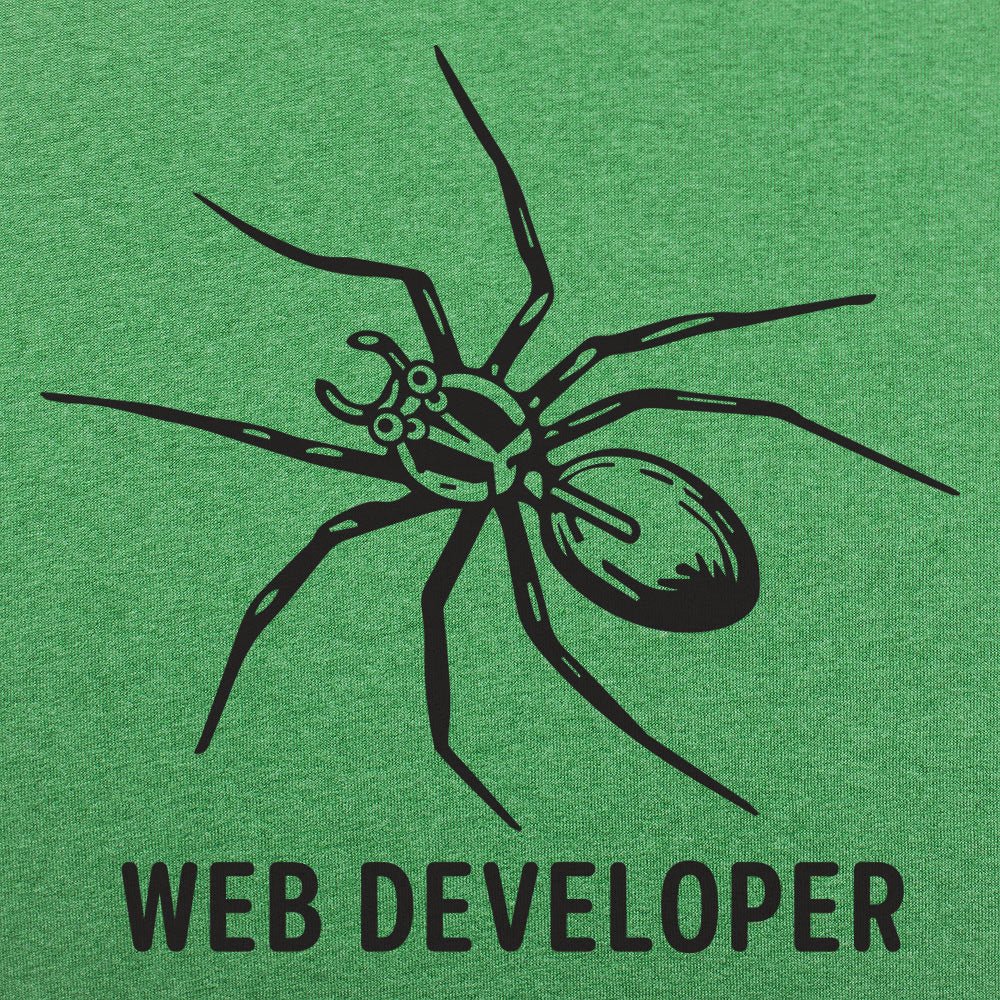 Web Developer Spider Pun