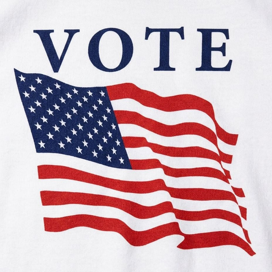 Vote with American Flag